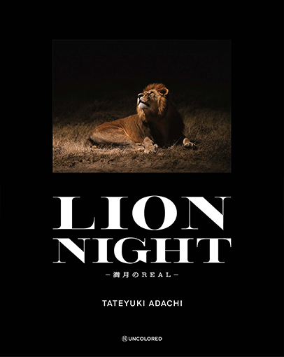 写真集 LION NIGHT の表紙