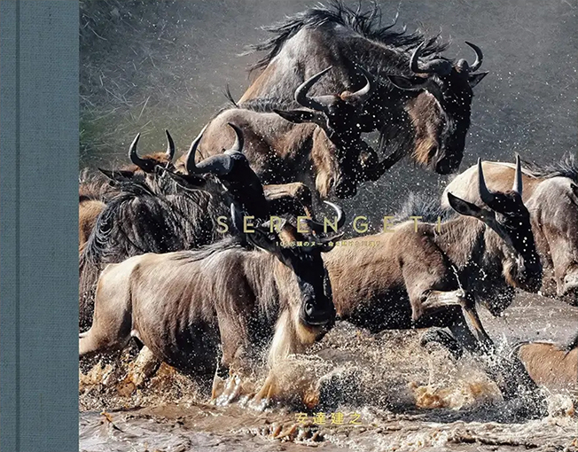 写真集 SERENGETI の表紙