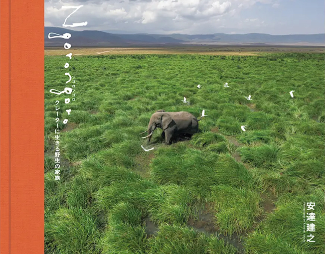 写真集 Ngorongoro の表紙