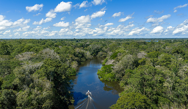 ブラジル・アマゾンの風景